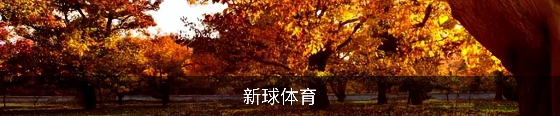 新球体育-全球赛事资讯与实时数据平台|足球篮球网球电竞
